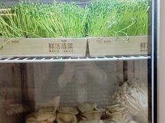 -宝燕壹号(徐汇店)