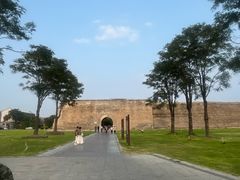 -真定郝家排骨(大十字街店)