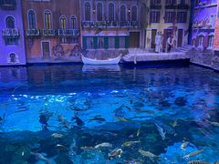 -华夏文旅海洋公园