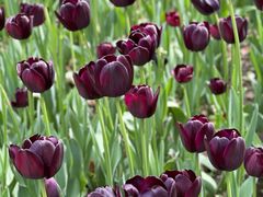 -玄武湖景区-情侣园游乐场