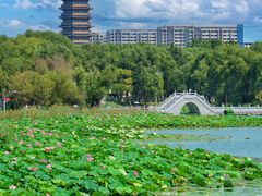 -长春北湖公园