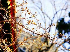 -北京上方山国家森林公园