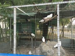 022-鸿华度假酒店