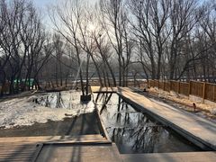 -乌素图国家森林公园