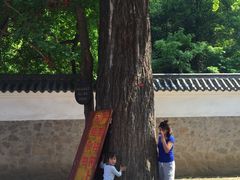 -信阳灵山风景区