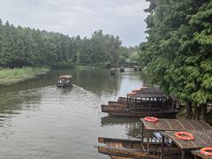 -溱湖国家湿地公园