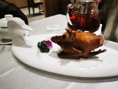 红烧乳鸽-光明招待所(邦凯科技园店)