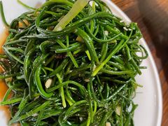 -苗氏卷子鸡(张掖金鸿大厦店)