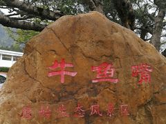 -牛鱼嘴原始生态风景区