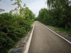 -白鹭湾湿地公园