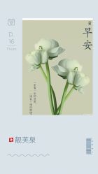 -靓芙泉祛痘.科技美肤连锁