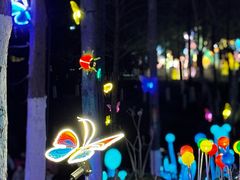 -武汉园博园(武汉自然博物馆)