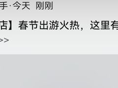 -约翰·菲茨杰拉德·肯尼迪国际机场