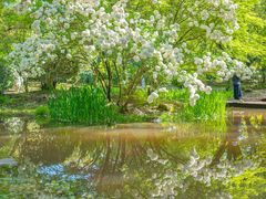 -上海共青森林公园