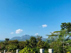 -中国科学院西双版纳热带植物园