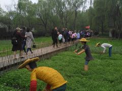 -溱湖国家湿地公园