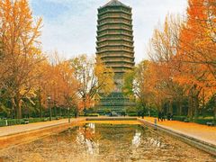 -玲珑塔公园