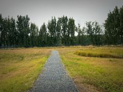 -汉长安城未央宫国家考古遗址公园