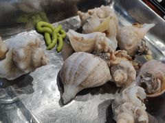 白灼角螺-胶东海鲜大排档(北太平庄店)