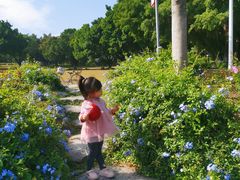 -东莞植物园