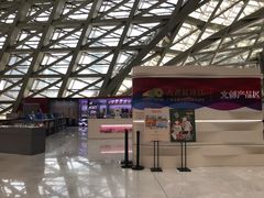 -深圳市当代艺术与城市规划馆