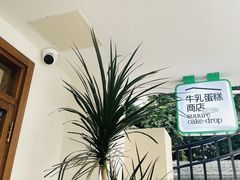 -流酥可心·牛乳蛋糕商店(禾祥西路店)
