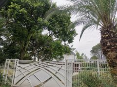 -桤木河湿地公园