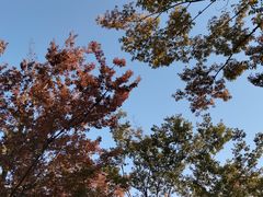 -长田漾湿地公园