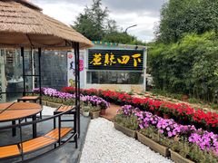 -蘑统田下·野生菌火锅