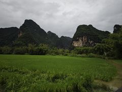 -明仕田园