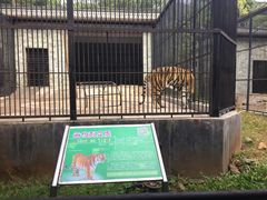 -广东茂名森林公园
