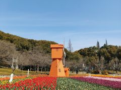 -苏州上方山国家森林公园