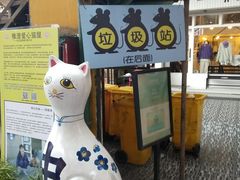-猫咪博物馆(顶澳仔猫街店)
