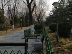 -顺城公园
