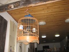 IMG_3814-崇州市街子古镇