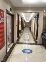 -碧莲盛·不剃发植发