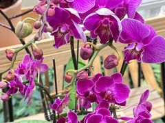 -宜家家居(四元桥商场店)