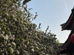 -大唐博相府酒店·陕西官府菜
