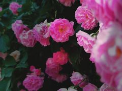 -奥林匹克森林公园北园-停车场