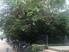 门面-江滨壹号艺文空间复合餐厅(闽江大道店)