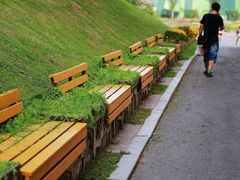 照片&nbsp;068-沈阳植物园