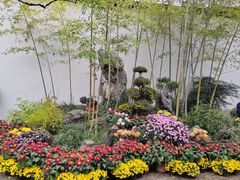 -上海醉白池公园