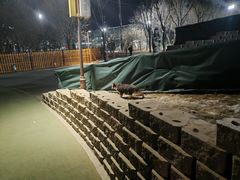 -回龙观体育文化公园