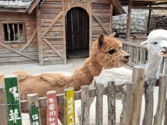 -幽岚山·童话森林