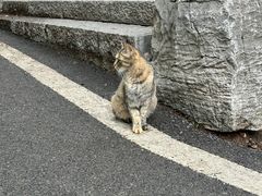 -云龙山