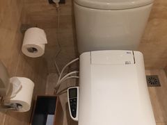 可冲洗屁屁的马桶-扬州绿地铂骊酒店