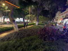 -龍城柳州螺蛳粉(群星路店)