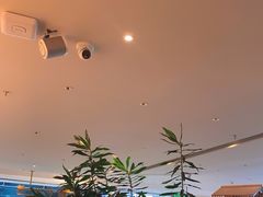 -桂满陇·蟹黄小笼汤包(巴黎春天浦建店)