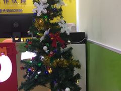 -乐博乐博少儿编程·乐高机器人编程·信息学竞赛(百仕达校区)