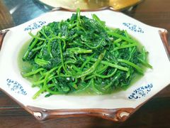 清炒地瓜叶-新洞口小吃(三元二路店)